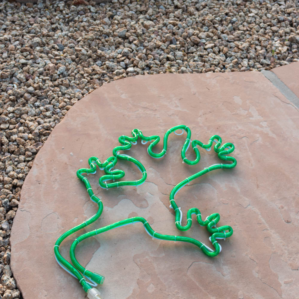 Green LongLife LED Rope Light Green Lizard - 18